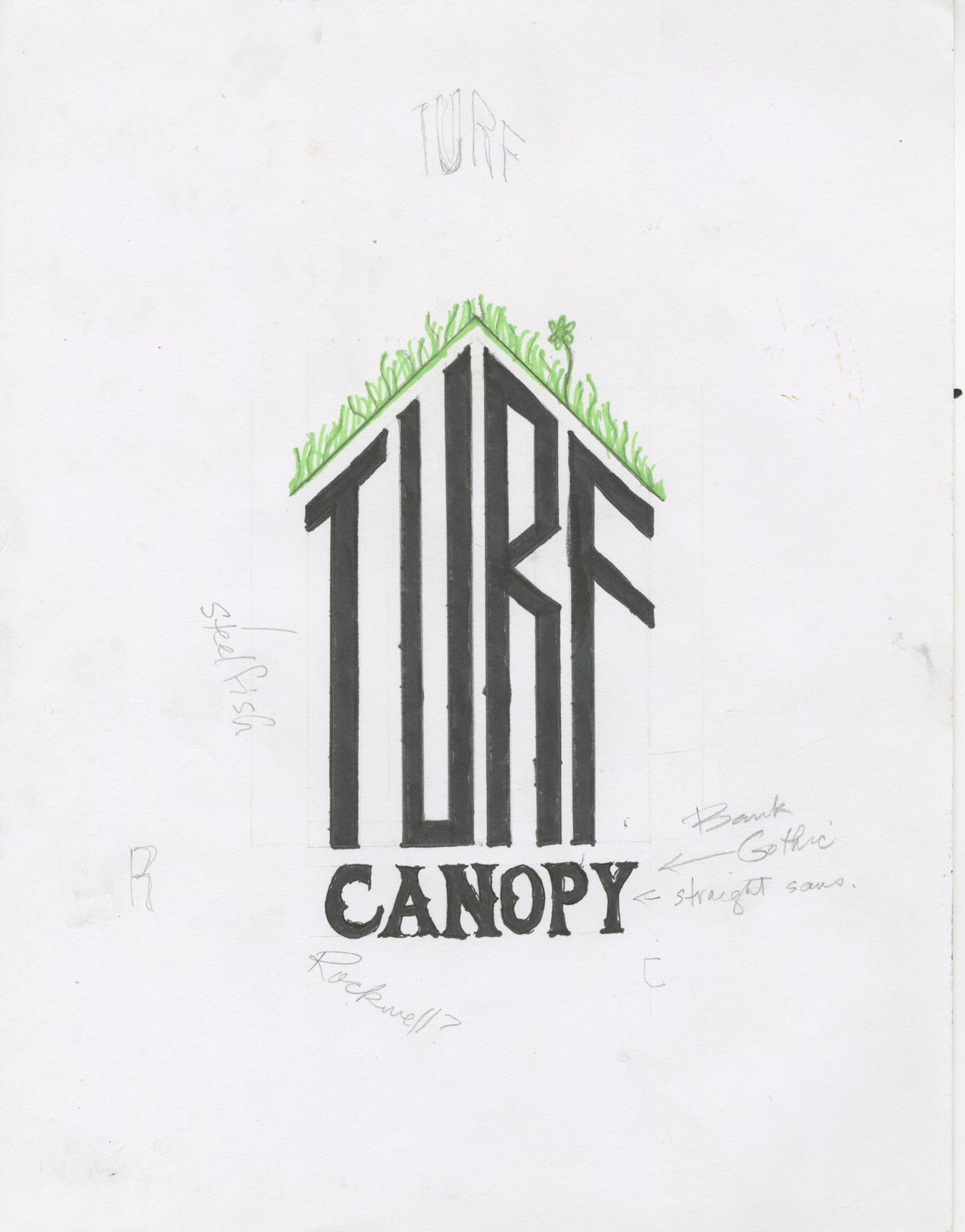 Turf Canopy Developement